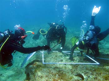 Laboratorio_rilevamento_sub2_2014_350px