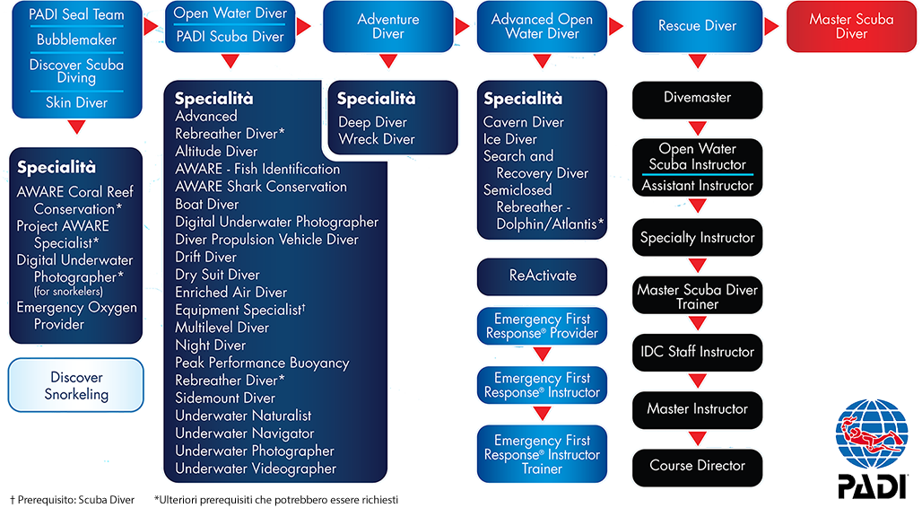 SDS_Con-Ed_Italian-HA0