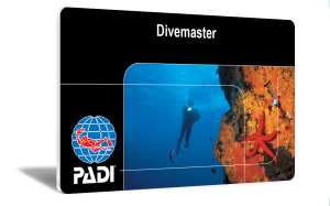 SDS_DIVEMASTER_PADI