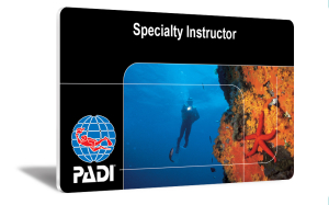 SDS_SPECIALINSTR_PADI