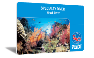 SDS_WRECK_PADI