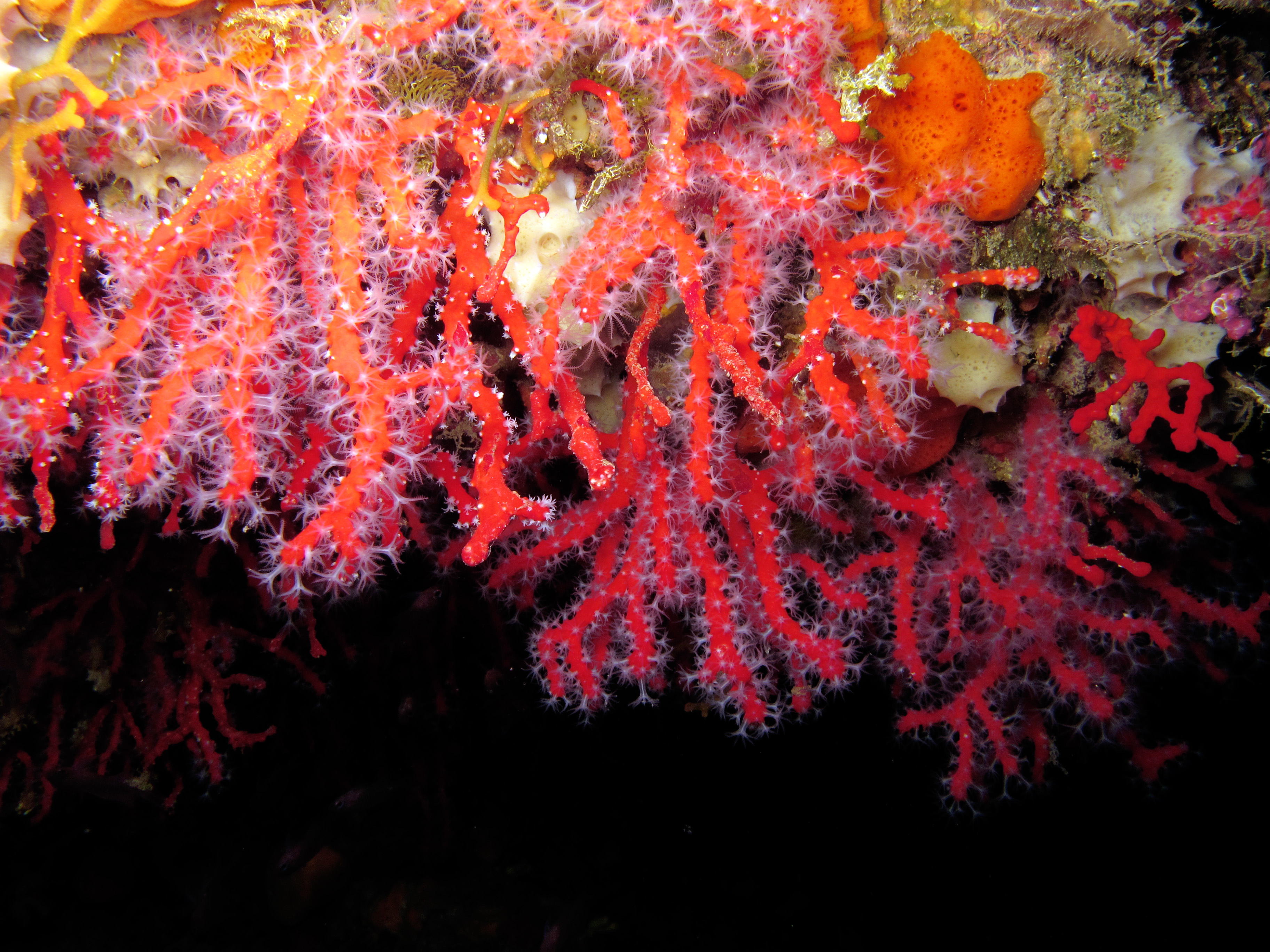 01d910b5901cbc03effa17e3f0764493428af09916