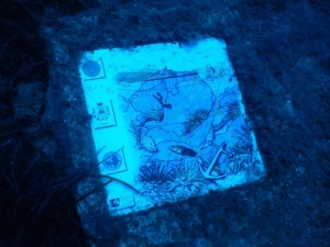 18765815_10208907362792541_4395427037142520807_n