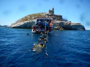 18835965_10208907398473433_4601776465322375530_n